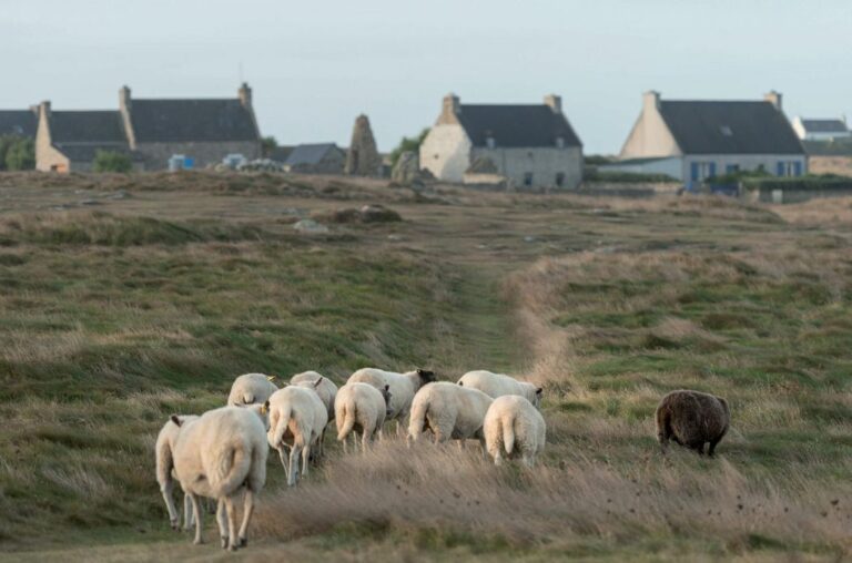 Ouessant