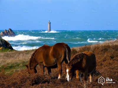 Lanildut-Chevaux-sur-la-cote-sauvage-de-porspoder