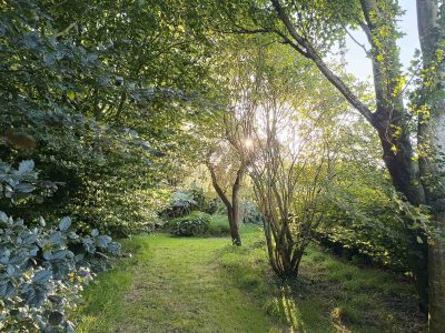 Cabane dans les arbres Le Nid d'Iroise