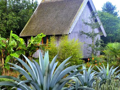 Cabane dans les arbres Le Nid d'Iroise