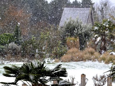 Cabane dans les arbres Le Nid d'Iroise