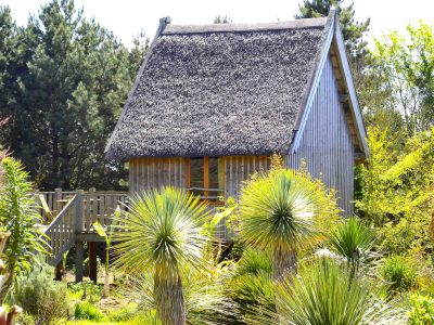 Cabane dans les arbres Le Nid d'Iroise