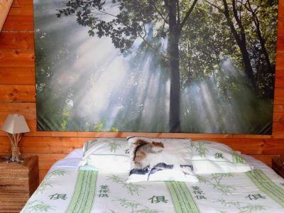 Intérieur cabane "Troglodythe"  sur pilotis au milieu des arbres à Lanildut