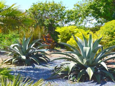 Vue petits déjeuner