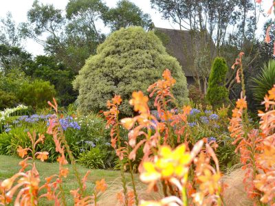 Jardin aux milles essences