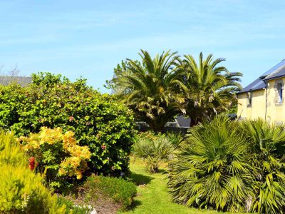 Palmeraie Le Nid d'Iroise