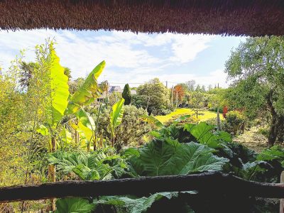 Cabane dans les arbres Le Nid d'Iroise